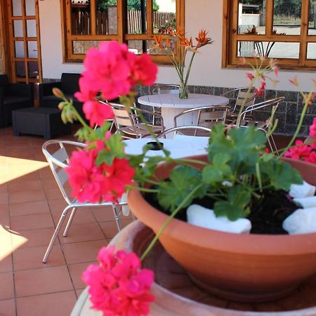 B&B La Vigna Lamezia Terme Dış mekan fotoğraf