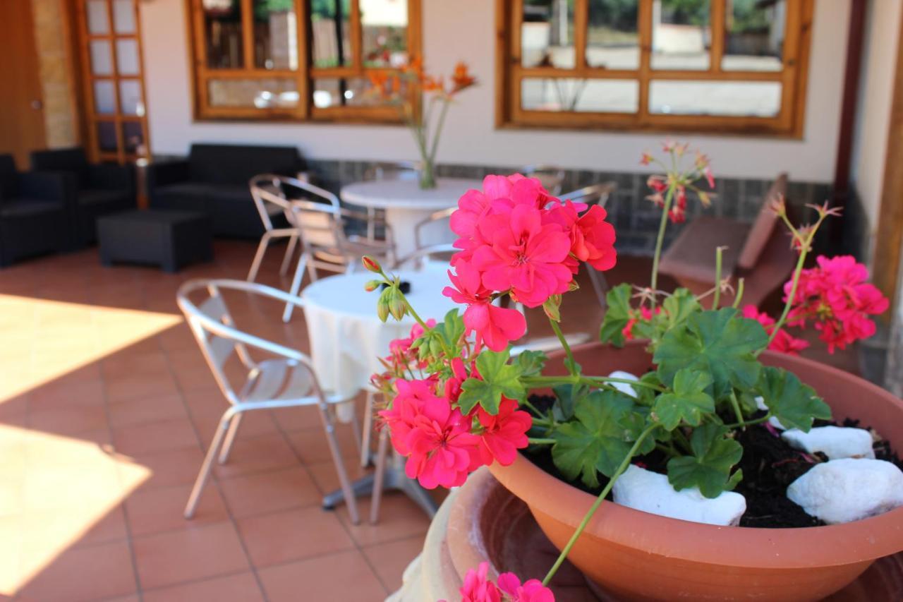 B&B La Vigna Lamezia Terme Dış mekan fotoğraf