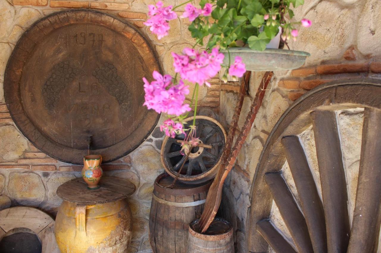 B&B La Vigna Lamezia Terme Dış mekan fotoğraf