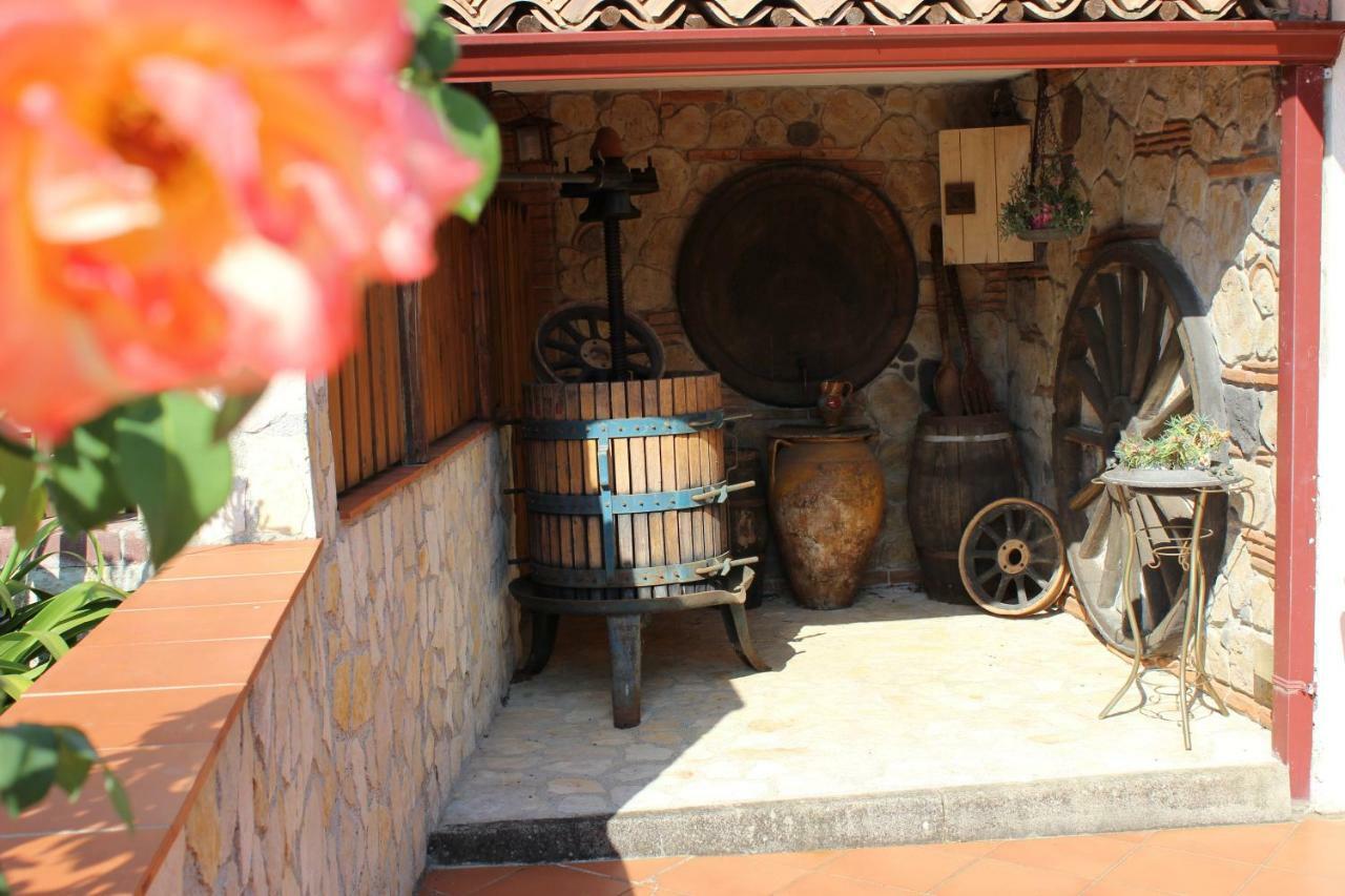 B&B La Vigna Lamezia Terme Dış mekan fotoğraf