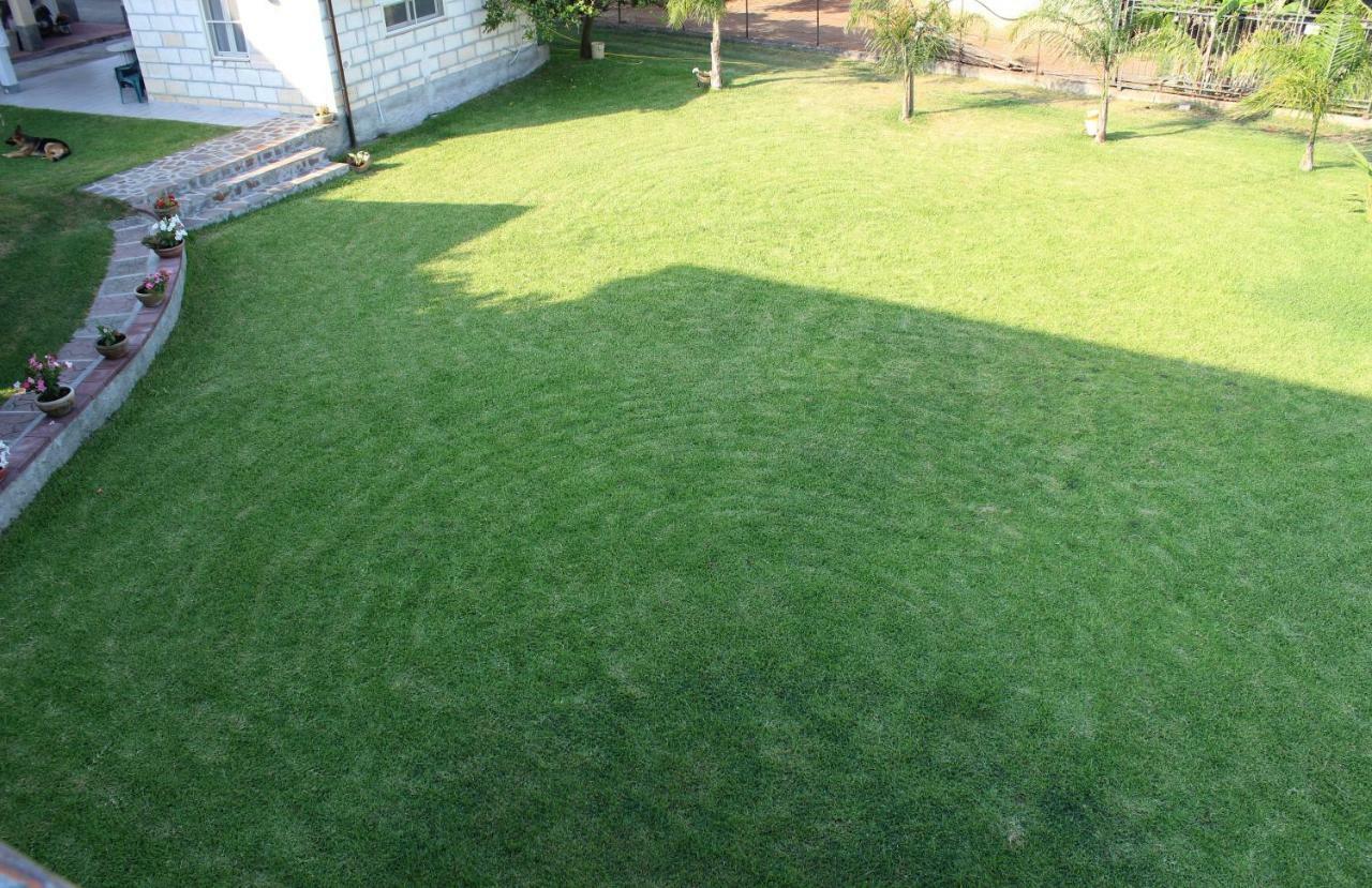 B&B La Vigna Lamezia Terme Dış mekan fotoğraf