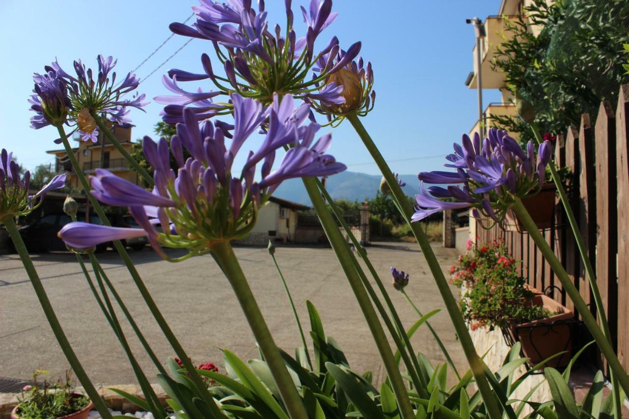 B&B La Vigna Lamezia Terme Dış mekan fotoğraf